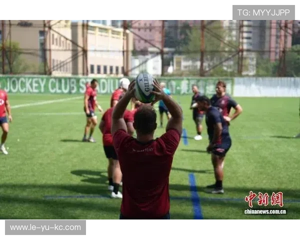 橄榄球世界杯备战全面启动，各队阵容紧锣密鼓