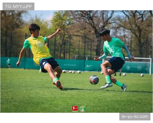 德甲新赛季引援聚焦年轻化与本土化，多支俱乐部加速青训人才布局