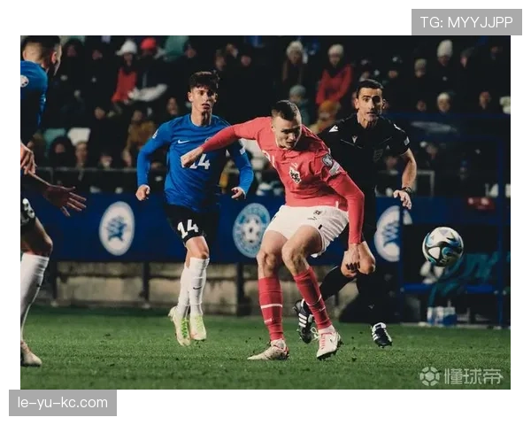 奥地利欧预赛表现